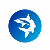 Buceo con tiburones Mako Pako