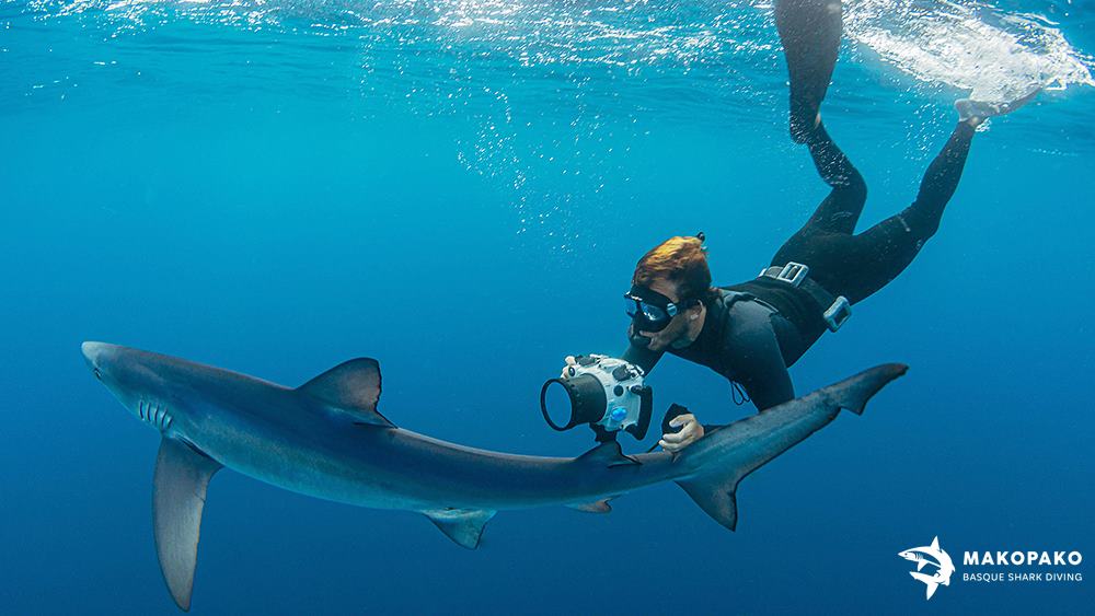 Mako Pako - Snorkel con tiburones