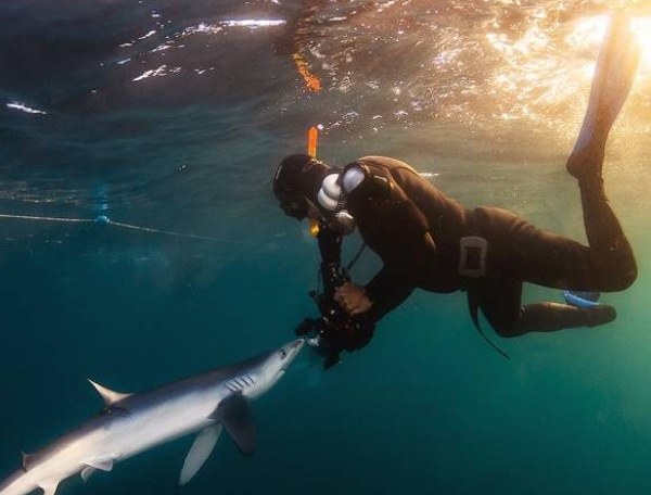 Economist and Jurist