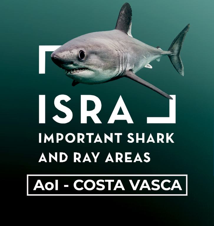 Area de interés de la costa vasca