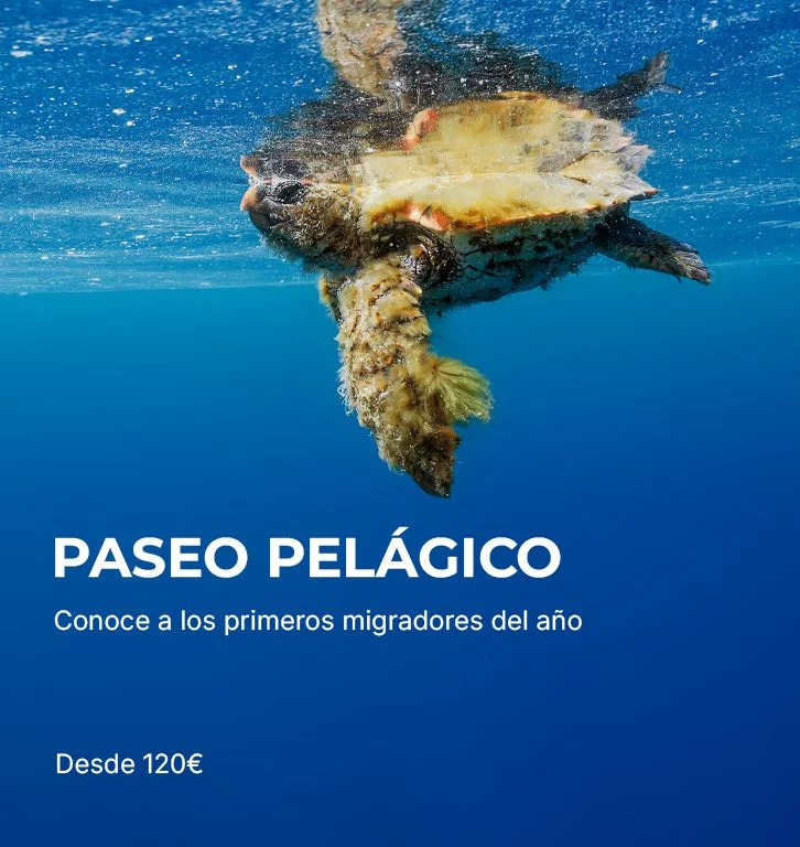 Paseos pelágicos